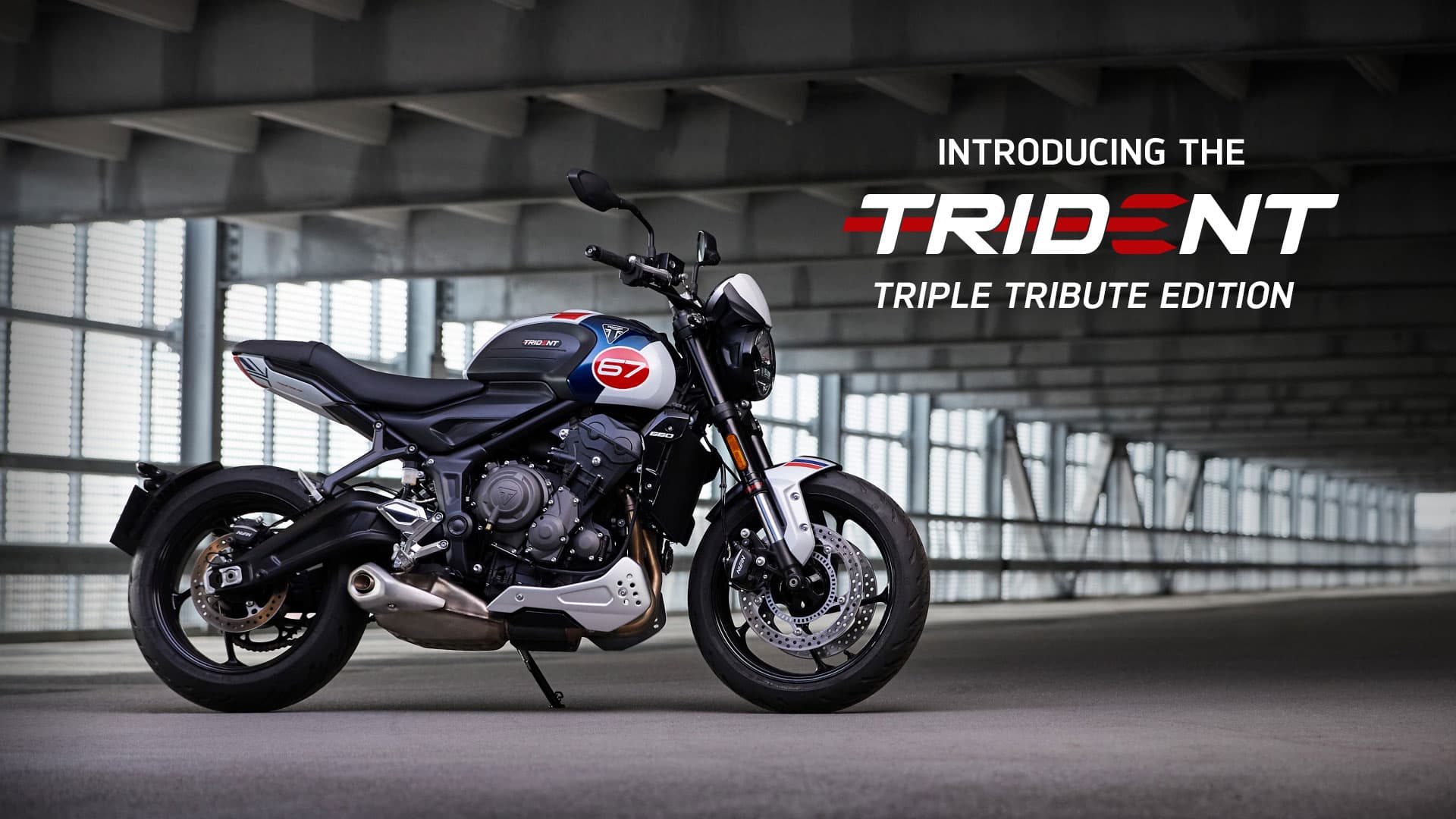 Trident 660 Triple Tribute Edition For the Ride
